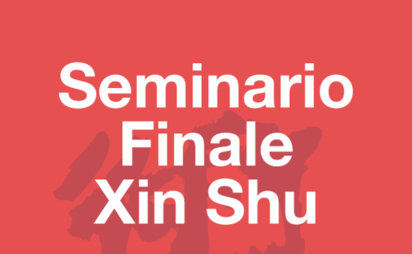 Seminario Finale Xin Shu 2022